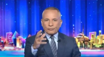 افتتاح المتحف المصري الكبير يبرز الجهود الوطنية للحفاظ على التراث الثقافي